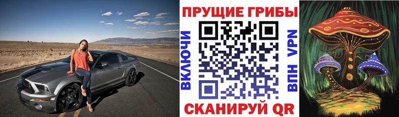 shop как зайти  ОМГ ОМГ ссылка  Козьмодемьянск  Галлюциногенные грибы прущие грибы 